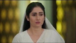 Manpasand Ki Shaadi - 17th November 2025